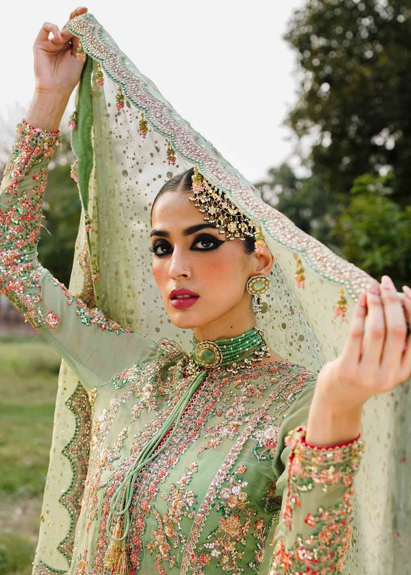 Hussain Rehar | Unstitched Embroidered Chiffon Screen printed Sharara | Rang