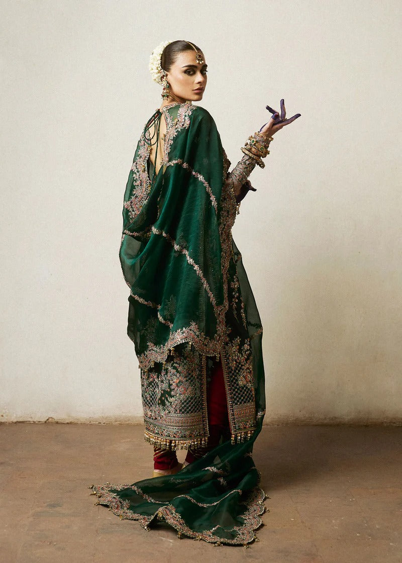 Hussain Rehar | 3 Piece Unstitched Organza Outfit | Jamali