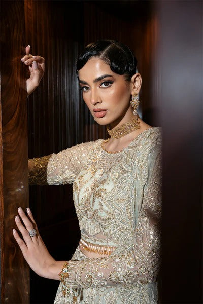 Saira Rizwan | 3 Piece Unstitched Embroidered sequined & embellished Net | Lucent-SRF-D-02