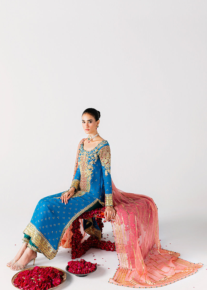 Sara Rohale Asghar | 3 Piece Unstitched Embroidered Khaddi Cotton Net | Shab Ayin
