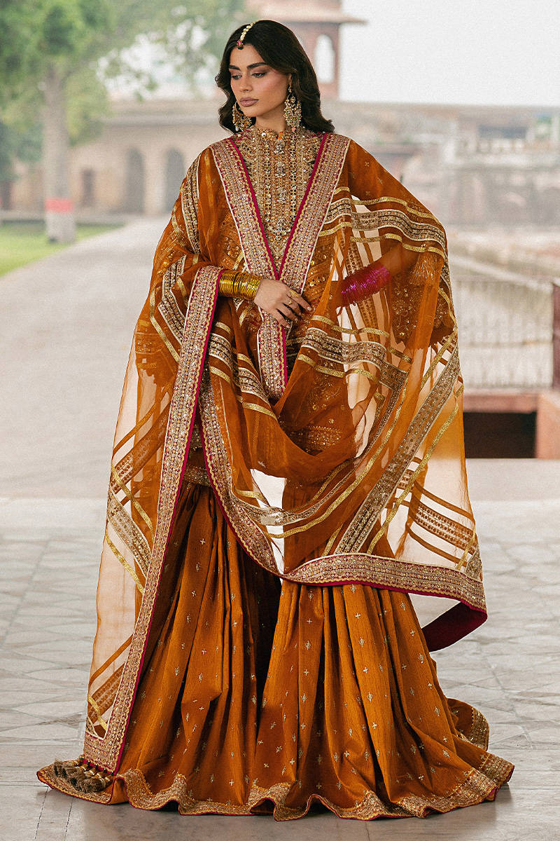 MNR | 3 {iece Unstitched Embroidered Gharara | Ranjish