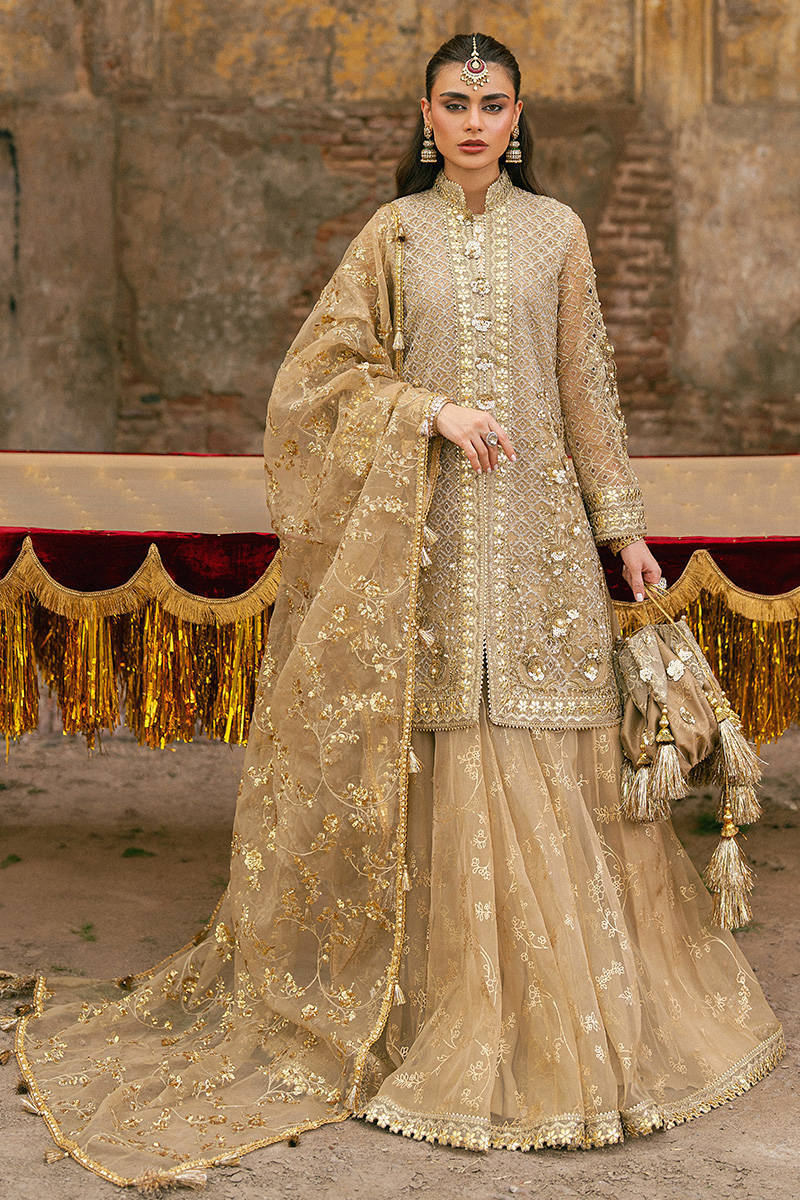 MNR | 3 Piece Unstitched Embroidered Organza | Roshni