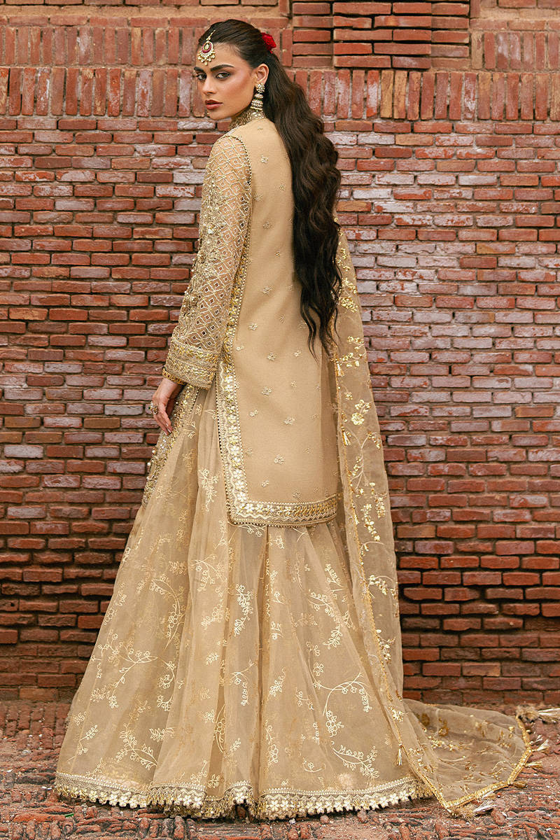 MNR | 3 Piece Unstitched Embroidered Organza | Roshni