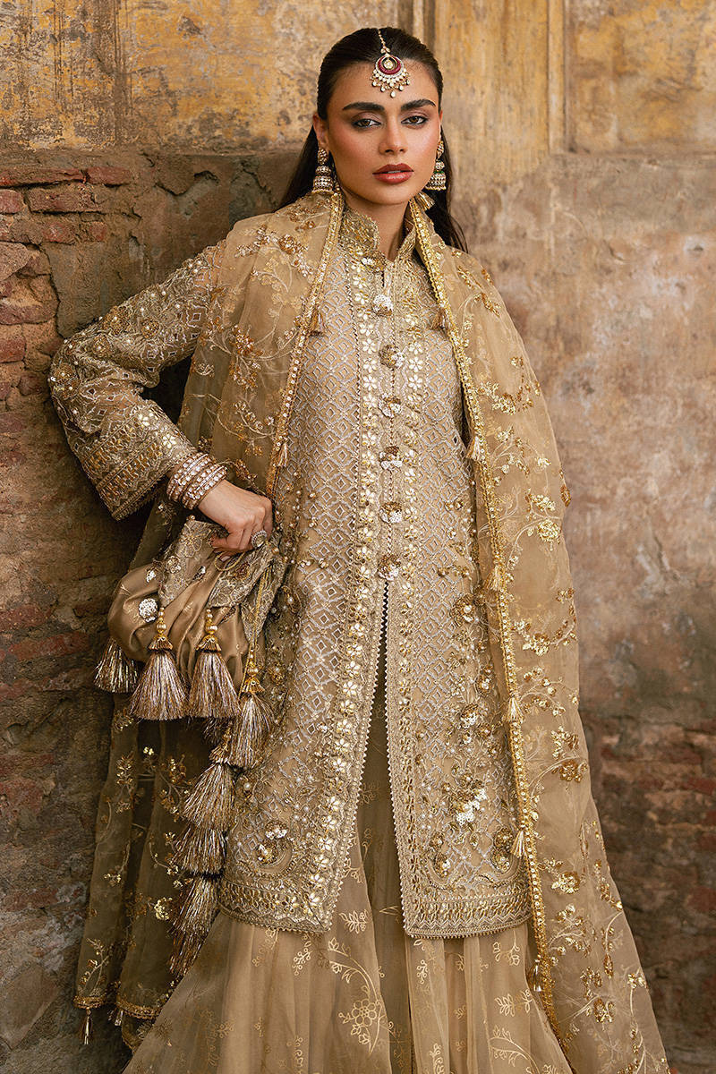 MNR | 3 Piece Unstitched Embroidered Organza | Roshni