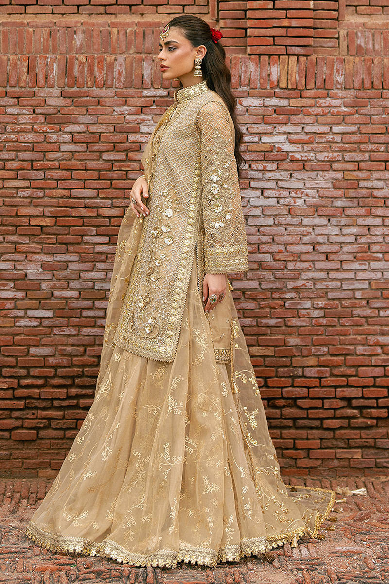 MNR | 3 Piece Unstitched Embroidered Organza | Roshni