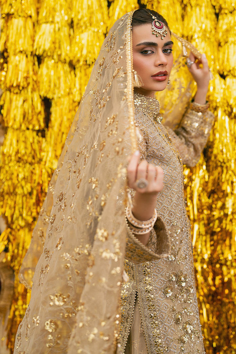 MNR | 3 Piece Unstitched Embroidered Organza | Roshni