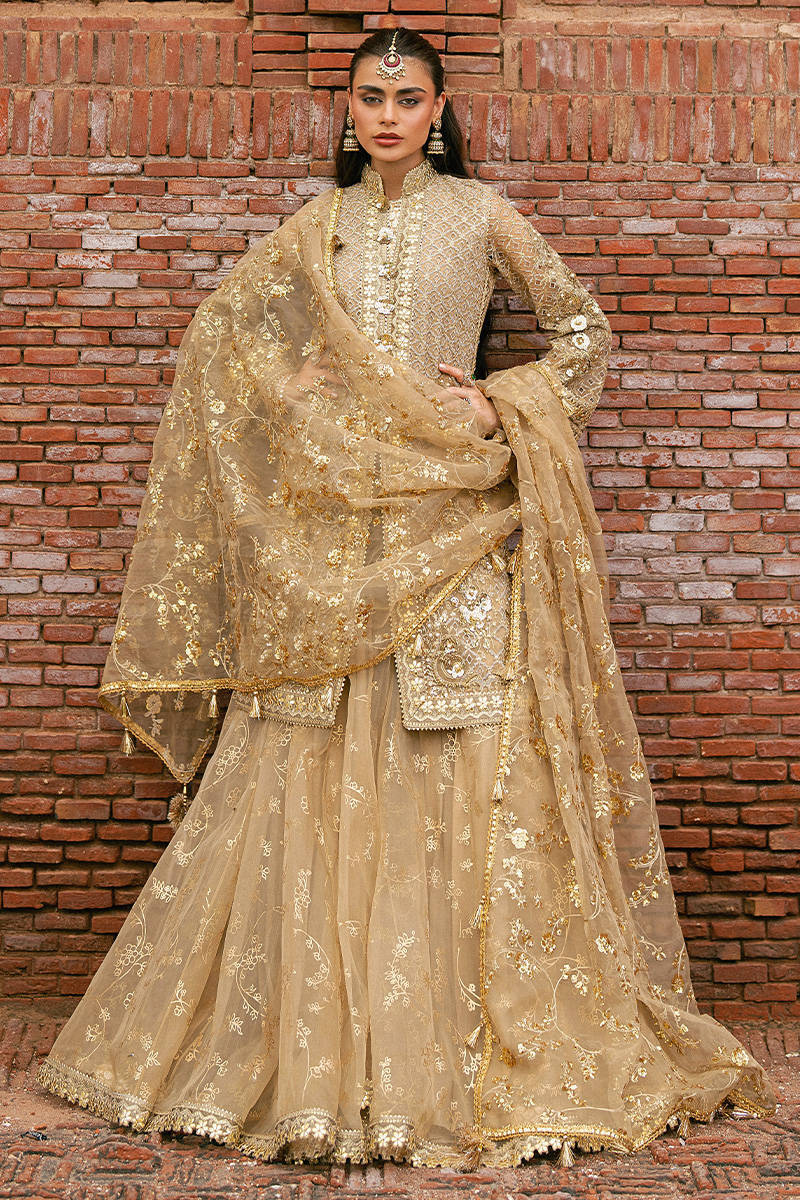 MNR | 3 Piece Unstitched Embroidered Organza | Roshni