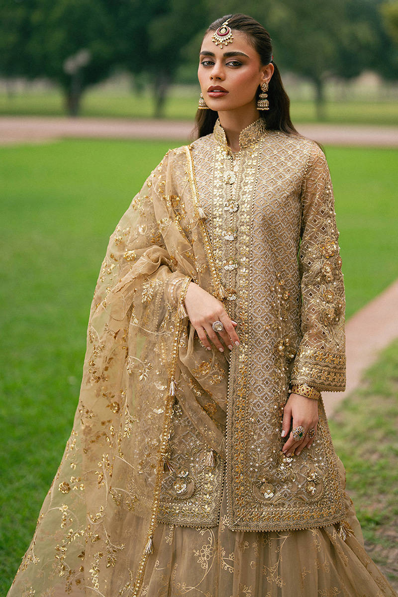 MNR | 3 Piece Unstitched Embroidered Organza | Roshni