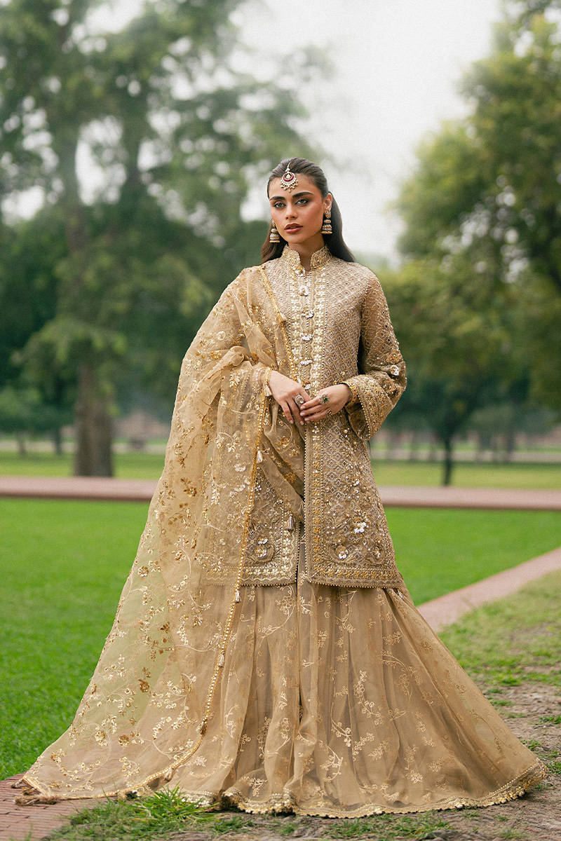 MNR | 3 Piece Unstitched Embroidered Organza | Roshni