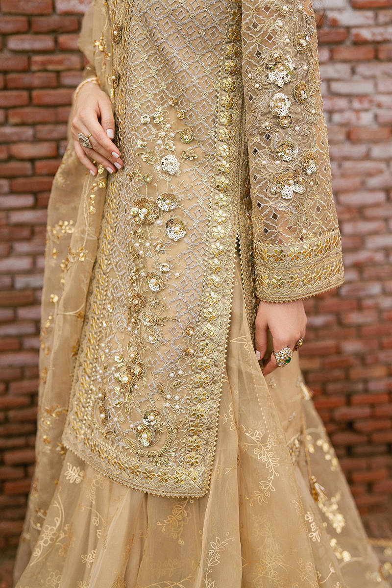 MNR | 3 Piece Unstitched Embroidered Organza | Roshni