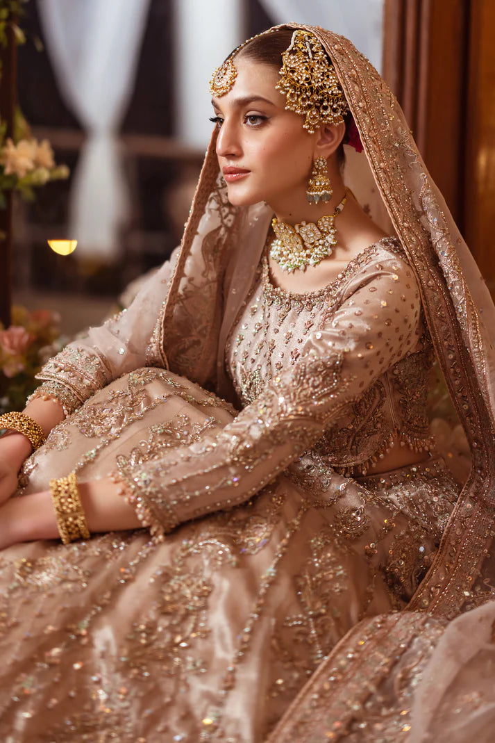 Naqshi | 3 Piece Unstitched Embroidered Tissue Wedding Dress | Shabaab