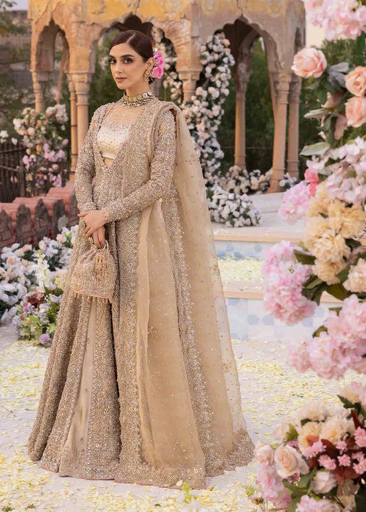Kanwal Malik | 3 Piece Unstitched Embroidered Kathaan Organza (16Pannels) | Mirani