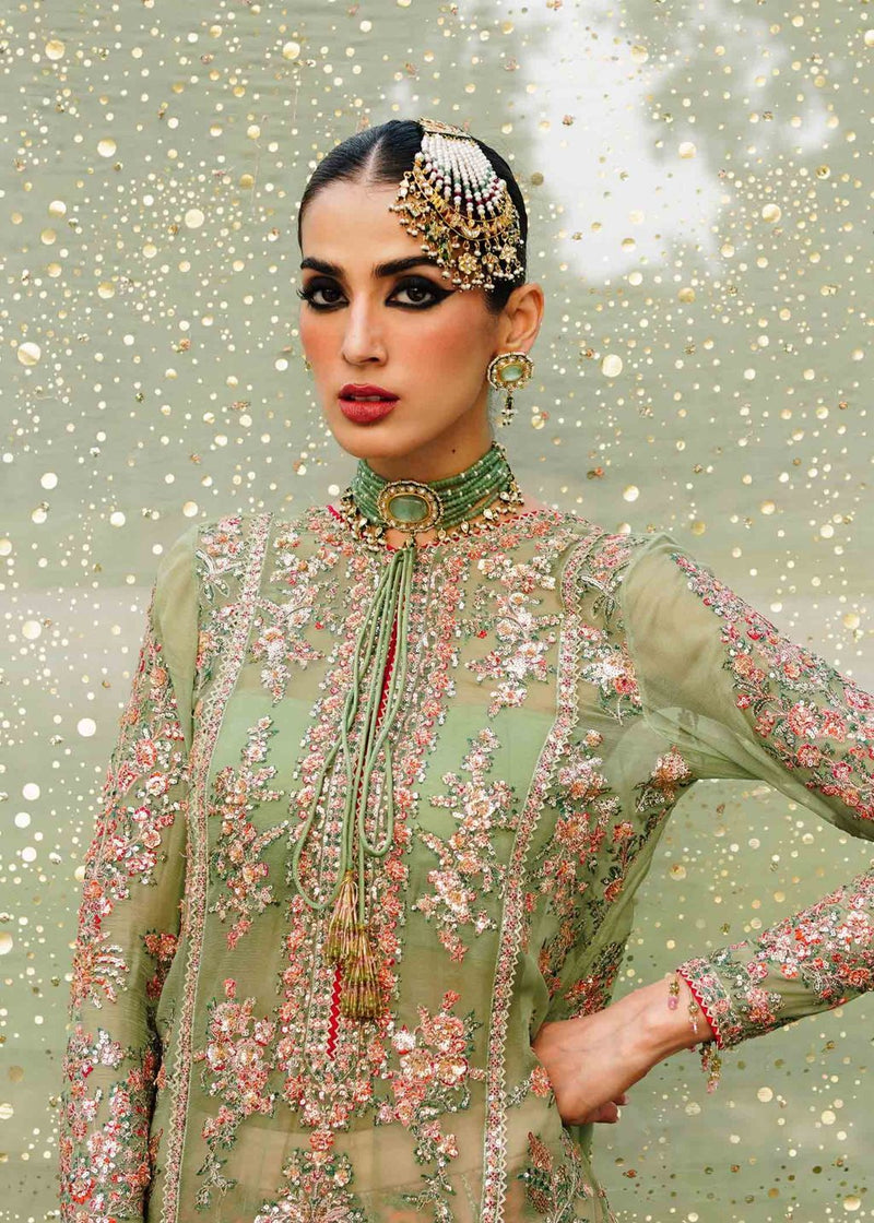 Hussain Rehar | Unstitched Embroidered Chiffon Screen printed Sharara | Rang