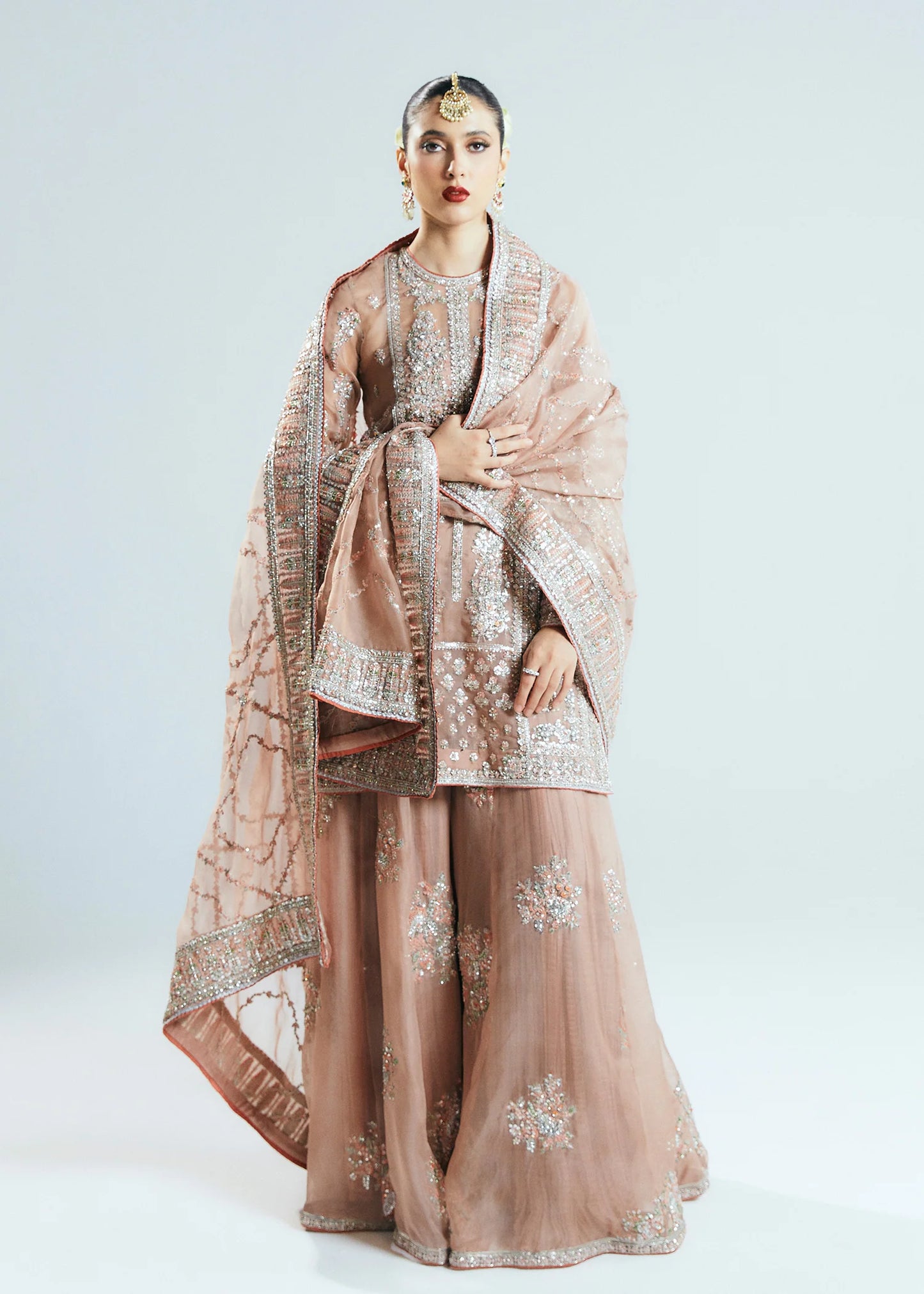 Hussain Rehar | 3 Piece Unstitched Embroidered Organza | Dune