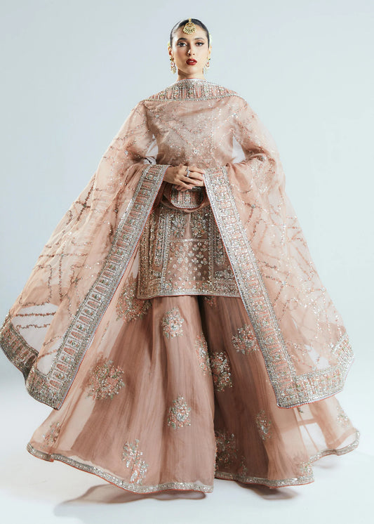 Hussain Rehar | 3 Piece Unstitched Embroidered Organza | Dune