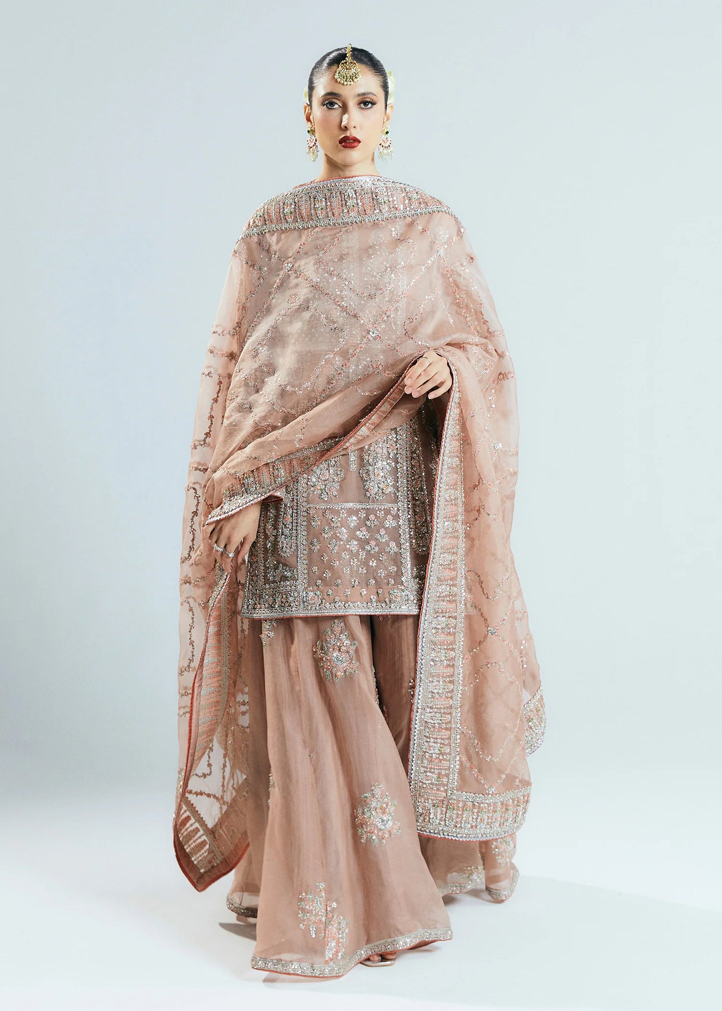 Hussain Rehar | 3 Piece Unstitched Embroidered Organza | Dune