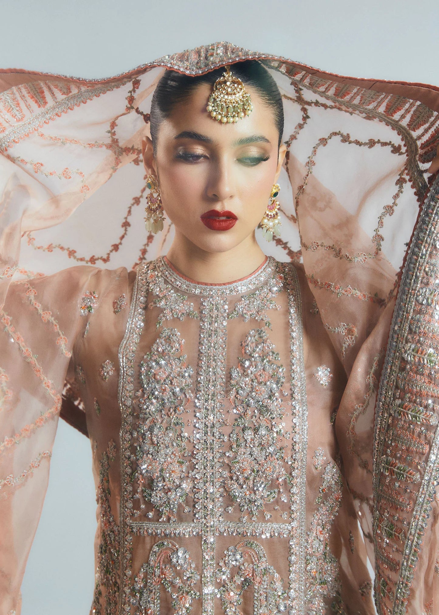 Hussain Rehar | 3 Piece Unstitched Embroidered Organza | Dune