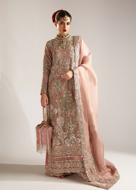 Hussain Rehar | 3 Piece Unstitched Organza | Verve