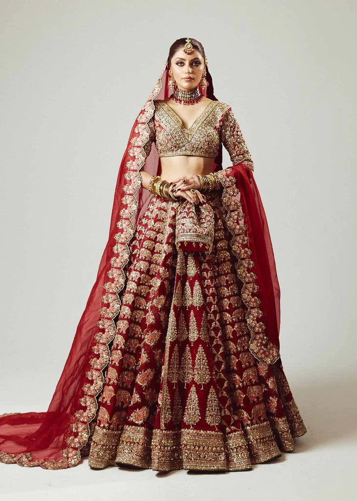 Hussain Rehar | 3 Piece Unstitched organza lehenga choli | Raaqs