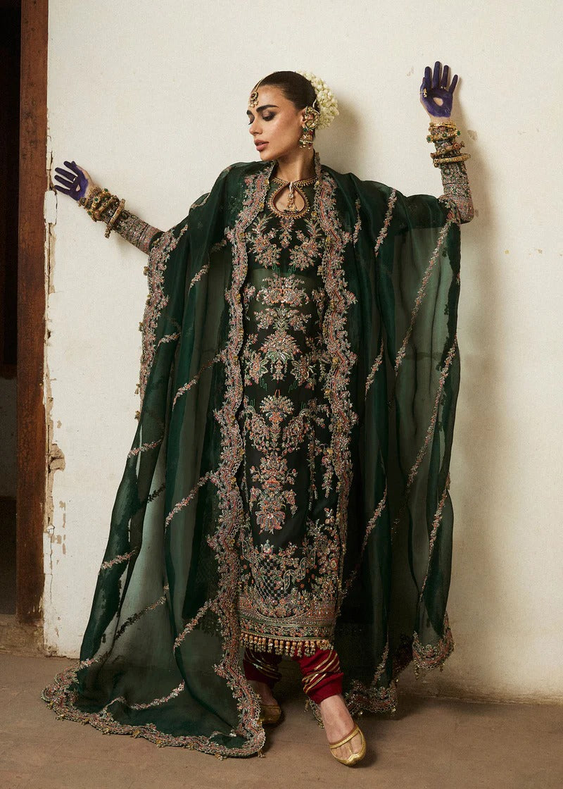 Hussain Rehar | 3 Piece Unstitched Organza Outfit | Jamali