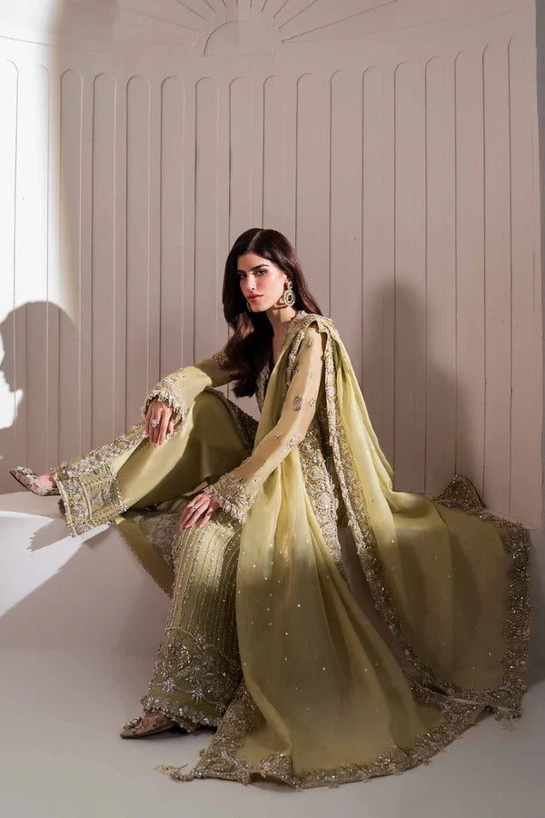 Elan | 3 Piece Unstitched Organza Handcrafted Gotta Work | LEONORE (EP-21218)