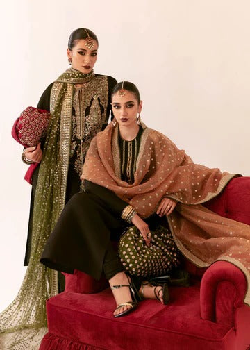 Hussain Rehar | 3 Piece Unstitched Embroidered Raw Silk | Darya