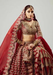 Hussain Rehar | 3 Piece Unstitched organza lehenga choli | Raaqs